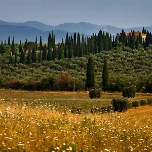 tenuta-di-poggio-cavallo.it-tuscanyhotel.com/